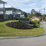 Plant - Landscaping in Cameron Park, NSW